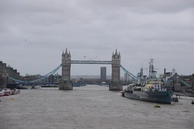 DSC_5653 (Large).JPG